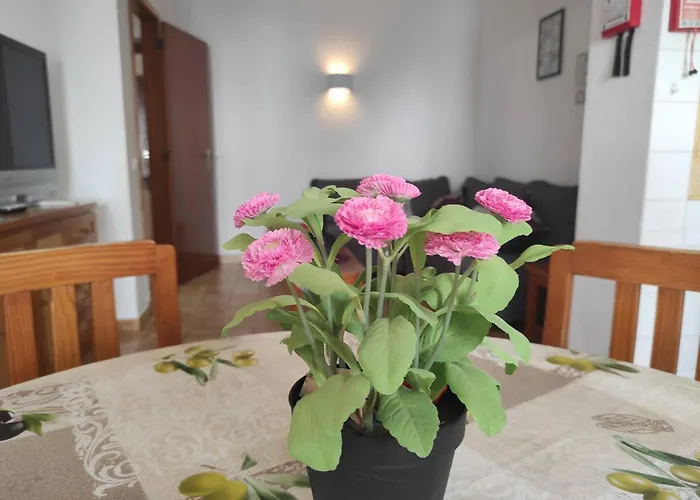 Sweet Clube Da Rocha 120 *