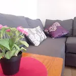 Sweet Clube Da Rocha 120 *