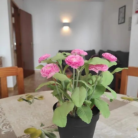 Sweet Clube Da Rocha 120 *